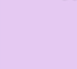 Collection of 2025 Cropped Warm Up Jacket in a gallery layout